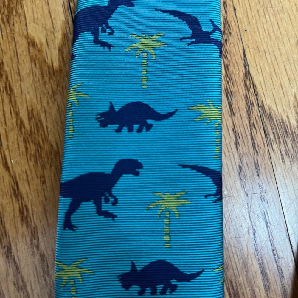 Lands' End Youth Dino Tie